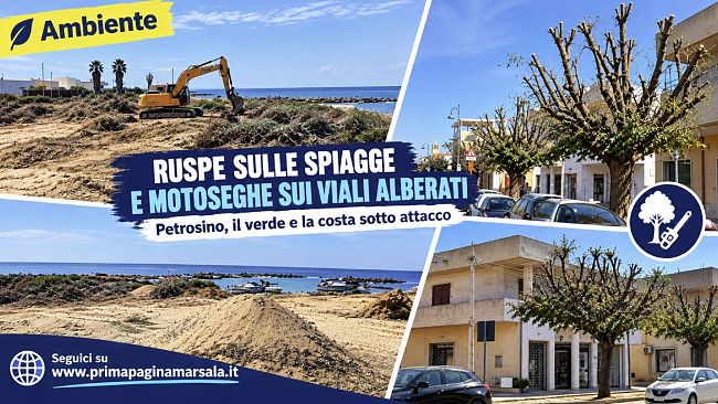 video-petrosino-litorale-spianato-e-alberi-mutilati-la-cura-ambientale-finisce-sotto-la-lente-di-ingrandimento
