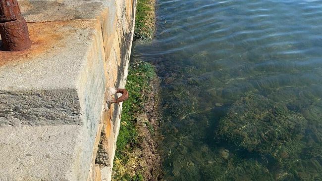 Sospetto sversamento di liquami al Porto, il Comune dispone sopralluogo