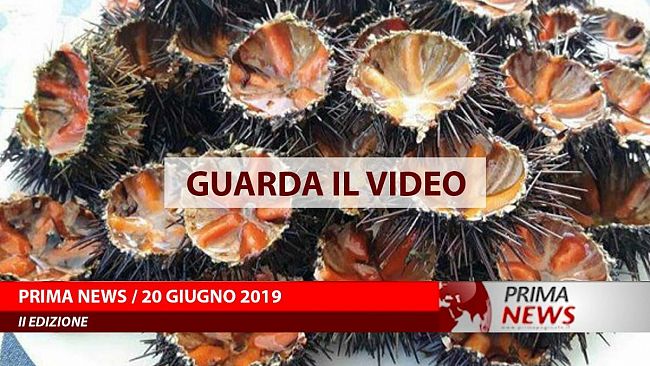 Prima News, 20 giugno, Seconda edizione