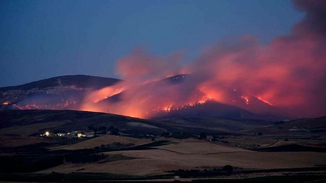​Trapani. Incendio Montagna Grande, il Comune punta al ripristino del bosco