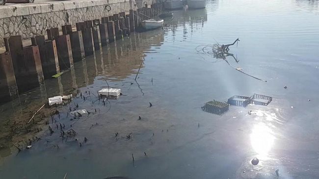 Dragaggio porto canale, il Movimento Difesa Cittadino sollecita avvio dei lavori