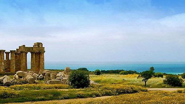 Il logo di Selinunte per il grano coltivato all’interno del Parco Archeologico. Mercoledì 25 la mietitura
