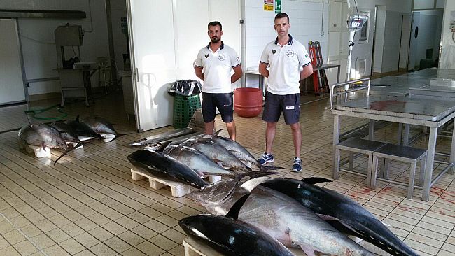 Ufficio Circondariale Marittimo di Marsala: maxi sequestro di tonno rosso