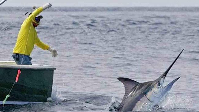 Unci AgroAlimentare, studio scientifico conferma: la pesca ha un impatto ambientale inferiore rispetto ad altre attività