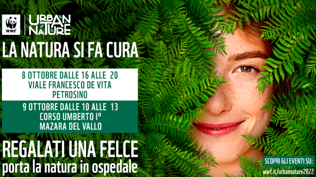 WWF, torna 