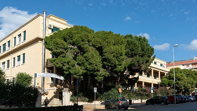Ortopedia, alla Villa dei Gerani 1.065 interventi di protesi in 3 anni: cresce l’uso del robot Rosa Knee