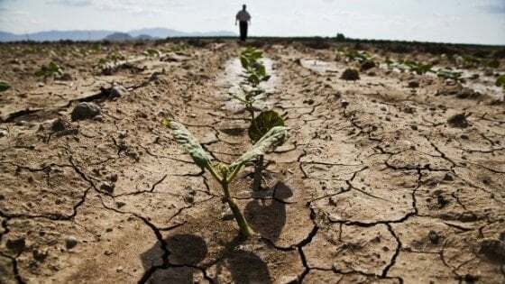 Siccità, interi paesi a secco nell'agrigentino. Oggi vertice a Palazzo d'Orléans