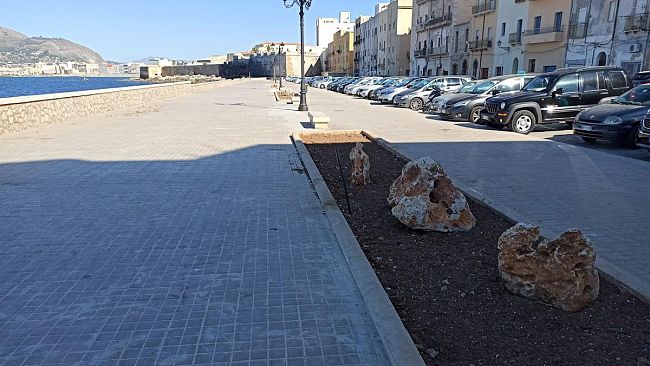 Trapani, oggi al via la messa a dimora delle nuove piante in Viale delle Sirene