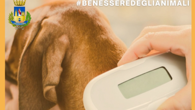 Mazara, benessere degli animali: avviati i controlli della Polizia Municipale e ASP 