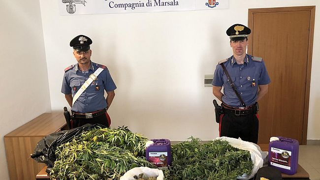 Marsala: nascondeva coltivazione di marijuana in casa. Arrestato dai Carabinieri