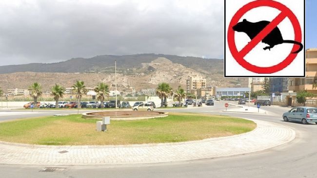​Erice. Al via sesta derattizzazione, il Comune raccoglie segnalazioni