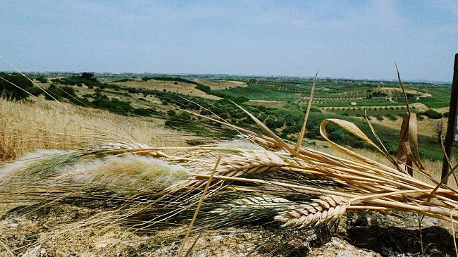 Premiati i vincitori della battuta fotografica dell'Unesco e dell'UIF