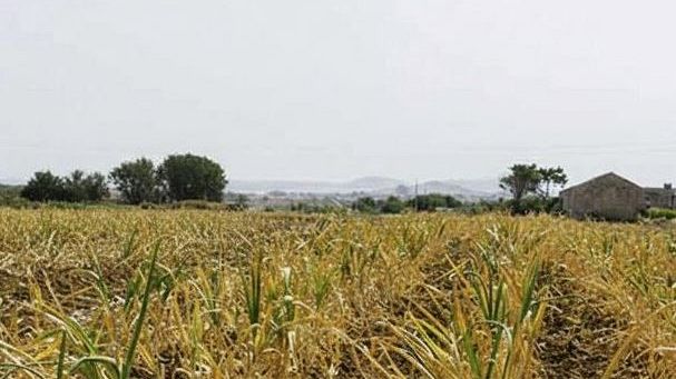 Tragedia a Nubia: ritrovato senza vita l’anziano scomparso