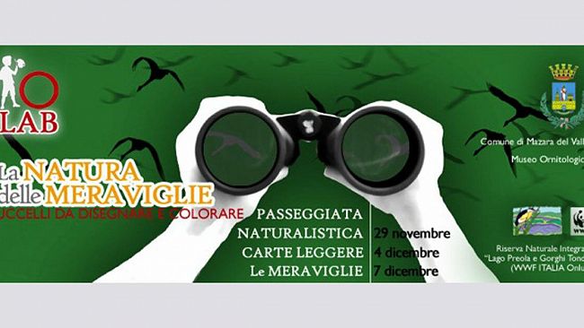 Oliver: La NATURA delle MERAVIGLIE | Uccelli da disegnare e colorare (edizione 2015)