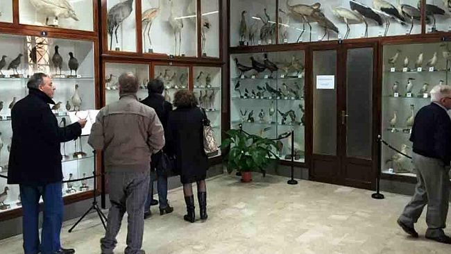 mazara-inaugurate-le-nuove-sale-del-museo-ornitologico