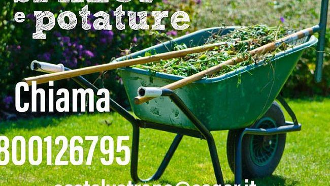 Attivo il numero verde per il ritiro degli sfalci da potatura a Triscina e Marinella di Selinunte