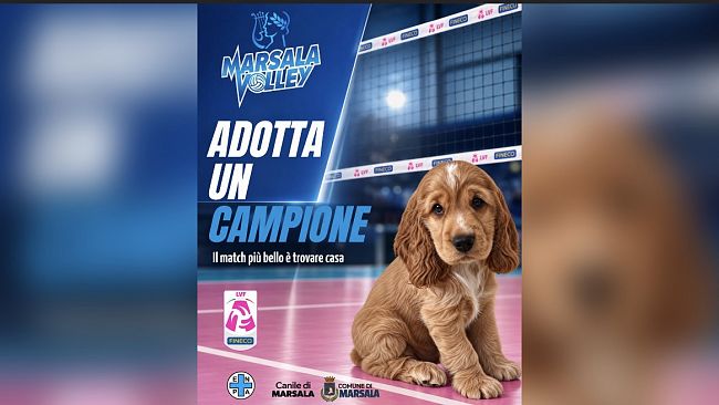 marsala-una-schiacciata-contro-labbandono-domenica-al-palasport-torna-adotta-un-campione