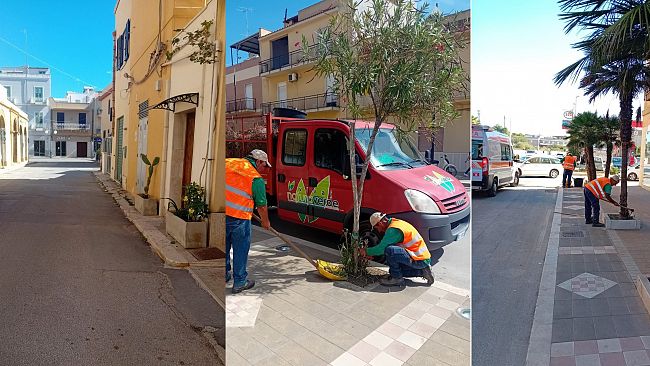 Mazara, “Vivai Natura Verde” al lavoro per il decoro urbano 
