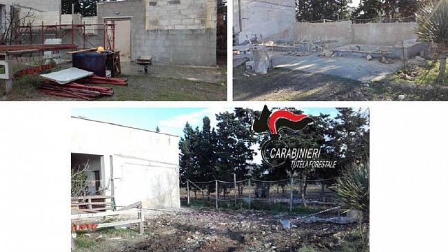 I Carabinieri del nucleo Cites provvedono a demolire una casa abusiva a Nubia