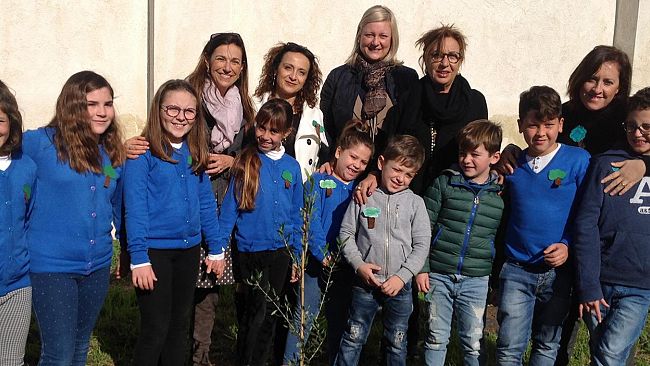 Festa dell’Albero, il Comune dona ulivi e melograni alle scuole