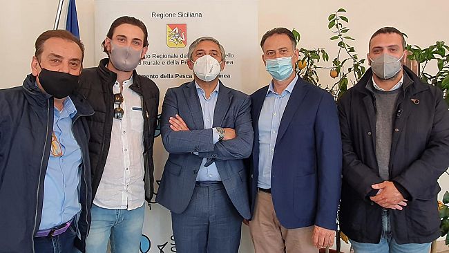 Diventerà Bellissima incontra l'Assessore Scilla su problemi della coltura olive