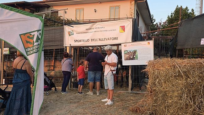 A San Giuseppe Jato 243 anni di storia per la mostra degli Animali della Valle dello Jato