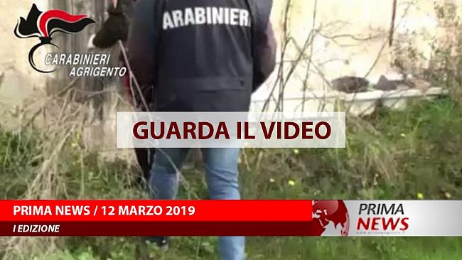 Prima News, 12 Marzo, Prima edizione