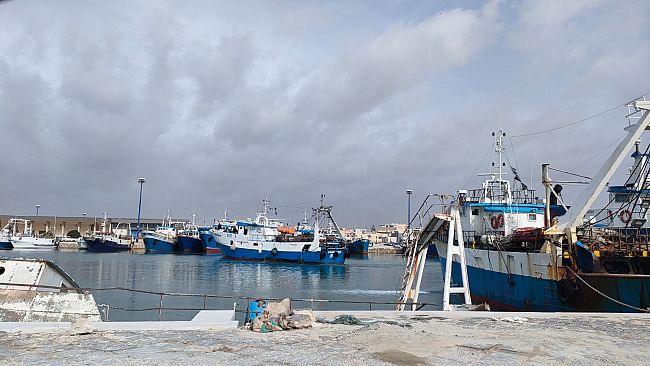 Pesca, ripresa delle attività nel mese di dicembre, dopo il lungo stop imposto dall'Unione Europea