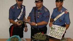 Salemi, Carabinieri, estesa attività antidroga, scattano arresti e denunce