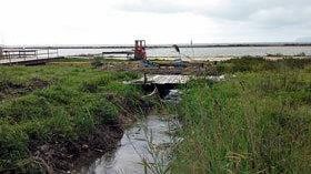 Marsala, Maltempo: il Comune interviene a Dammusello/Giunchi