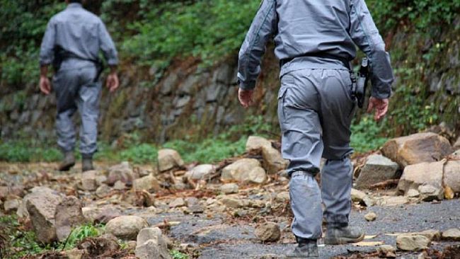 Un milione di euro per la gestione Forestale in Sicilia. Speranze aggiuntive per i lavoratori ?