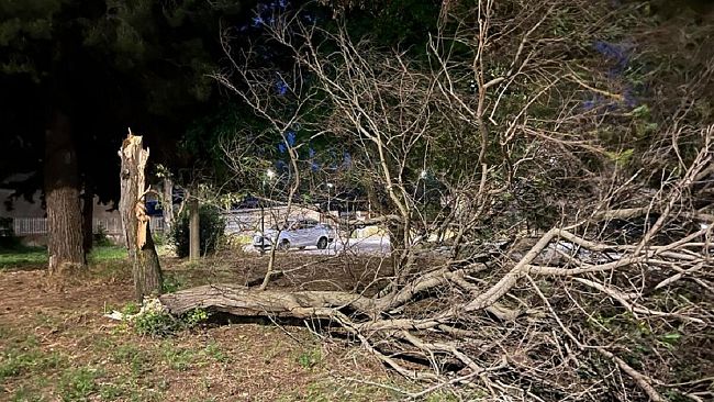 Lo Scirocco ha flagellato ieri la città, danni e alberi caduti, nessun ferito