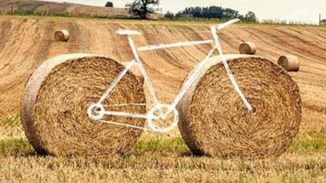 Il Tour Sic2Sic In bici attraverso la Rete Natura 2000 fa tappa a Mazara del Vallo  Mercoledì 9 settembre alle ore 19,30  al Collegio dei Gesuiti