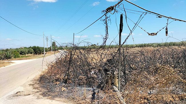 Locogrande, fiamme tranciano i cavi del telefono
