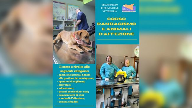ASP Trapani, corso di formazione su “Randagismo e animali d’affezione”. 60 posti disponibili