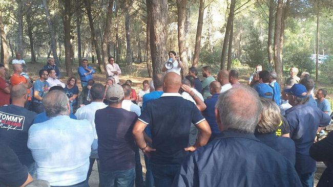 Olivicultori in ginocchio si sono radunati oggi. Stop alla raccolta delle olive 