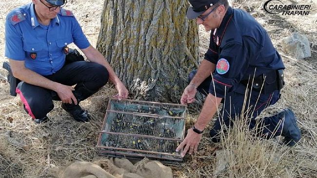 Castellammare del Golfo,  Carabinieri forestali arrestano un bracconiere per furto venatorio