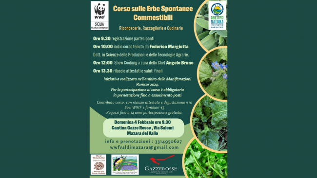 WWF Mazara, domani corso sulle erbe spontanee commestibili 
