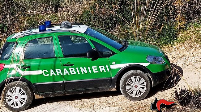 Bracconaggio di cinghiali al Lago Trinità di Castelvetrano: denunciati tre uomini