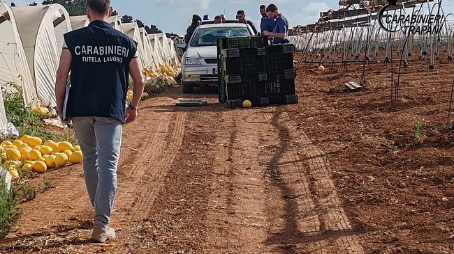 ​Trapani, contrasto a lavoro nero e caporalato: sanzioni e ammende per 58 mila euro