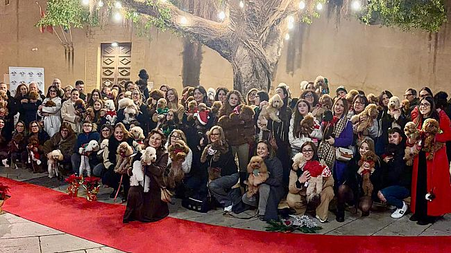 Mazara, successo per il secondo raduno dei barboncini