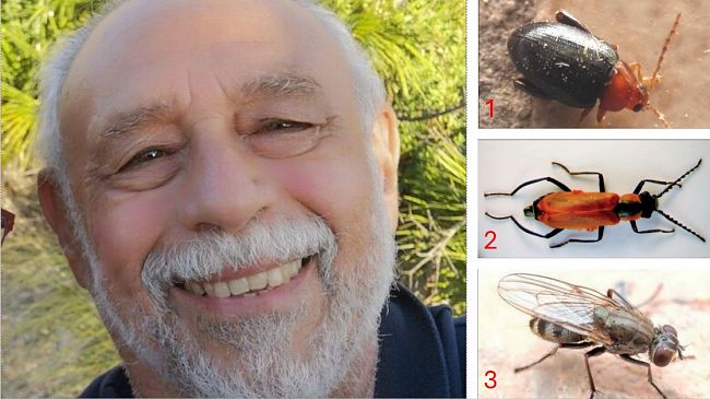 Il prof. mazarese Angelo Ditta protagonista della nuova ricerca che sarà pubblicata sul 