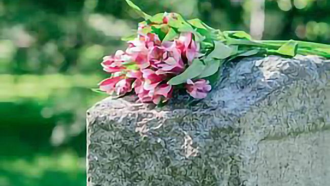 Ultime della sera: “Un fiore”
