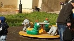 Cappuccetto Rosso, attenta al lupo…Quando esci da scuola.