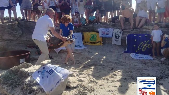 Rilasciate in mare, nel fine settimana, due pazienti del  Centro di Primo Soccorso per Tartarughe Marine dell’Area Marina Protetta “Isole Egadi”