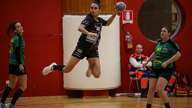Handball Erice: successo esterno contro Mestrino