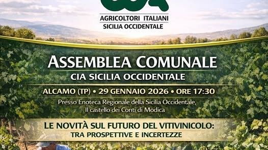 Prospettive e incertezze del settore vitivinicolo, ad Alcamo l'assemblea comunale della Cia