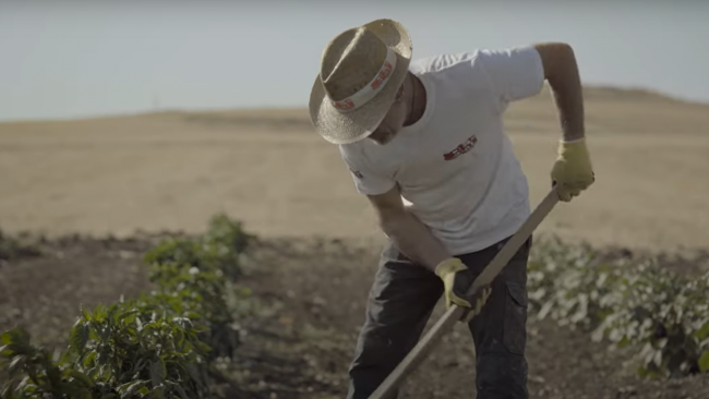 EBAT Trapani- spot contro i colpi di calore 