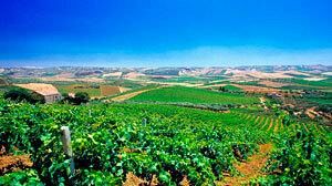 MARSALA – Verso il polo della filiera agroalimentare ed enologica