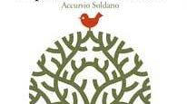 aspettando-mr-wolf-oggi-alle-18-a-sciacca-la-presentazione-del-libro